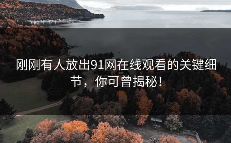 刚刚有人放出91网在线观看的关键细节，你可曾揭秘！