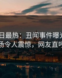 Pixiv今日最热：丑闻事件曝光，圈内人现场令人震惊，网友直呼过瘾