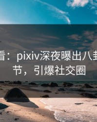 限时查看：pixiv深夜曝出八卦震撼细节，引爆社交圈