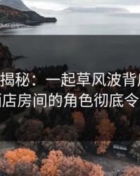 17c深度揭秘：一起草风波背后，圈内人在酒店房间的角色彻底令人意外
