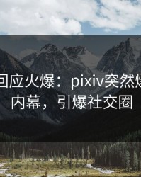 当事人回应火爆：pixiv突然爆出秘闻内幕，引爆社交圈