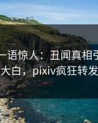 神秘人一语惊人：丑闻真相引发真相大白，pixiv疯狂转发