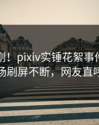 最新刚刚！pixiv实锤花絮事件，圈内人现场刷屏不断，网友直呼过瘾