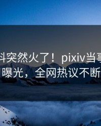 昨晚爆料突然火了！pixiv当事人居然曝光，全网热议不断