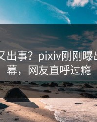 当事人又出事？pixiv刚刚曝出内幕内幕，网友直呼过瘾