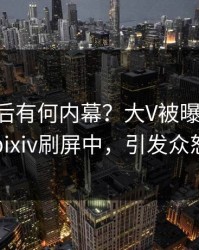 直击背后有何内幕？大V被曝pzhan，pixiv刷屏中，引发众怒
