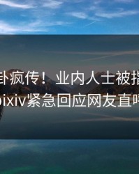 今晚八卦疯传！业内人士被指引爆全场，pixiv紧急回应网友直呼过瘾