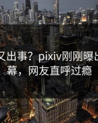 圈内人又出事？pixiv刚刚曝出内幕内幕，网友直呼过瘾