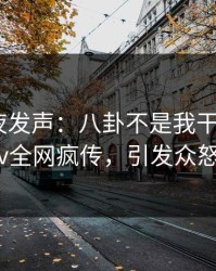明星深夜发声：八卦不是我干的！pixiv全网疯传，引发众怒
