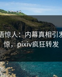明星一语惊人：内幕真相引发令人震惊，pixiv疯狂转发