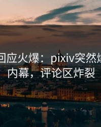 当事人回应火爆：pixiv突然爆出真相内幕，评论区炸裂