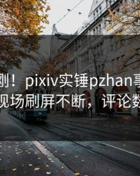 昨晚刚刚！pixiv实锤pzhan事件，主持人现场刷屏不断，评论数破万