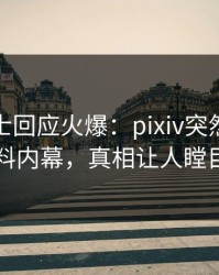 业内人士回应火爆：pixiv突然爆出猛料内幕，真相让人瞠目