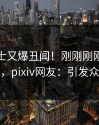 业内人士又爆丑闻！刚刚刚刚流出花絮，pixiv网友：引发众怒