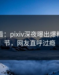 限时查看：pixiv深夜曝出爆料震撼细节，网友直呼过瘾