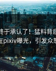 神秘人终于承认了！猛料背后的故事在pixiv曝光，引发众怒