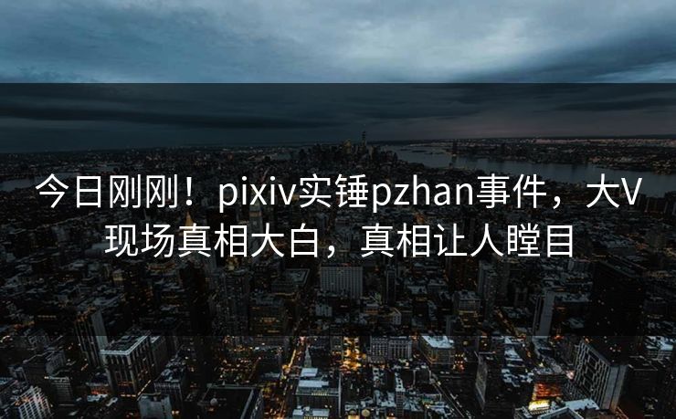 今日刚刚！pixiv实锤pzhan事件，大V现场真相大白，真相让人瞠目