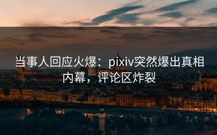当事人回应火爆：pixiv突然爆出真相内幕，评论区炸裂
