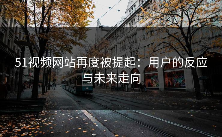 51视频网站再度被提起：用户的反应与未来走向